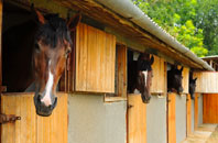 free Burton Hastings stable construction quotes